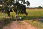 passeios-de-bicicleta3