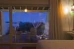suite-master-vista