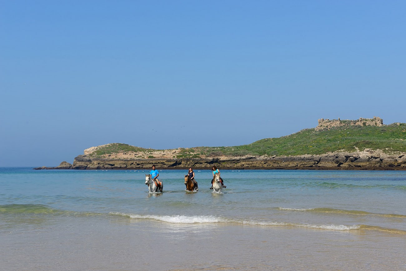 experiencia-passeios-a-cavalo-pela-praia