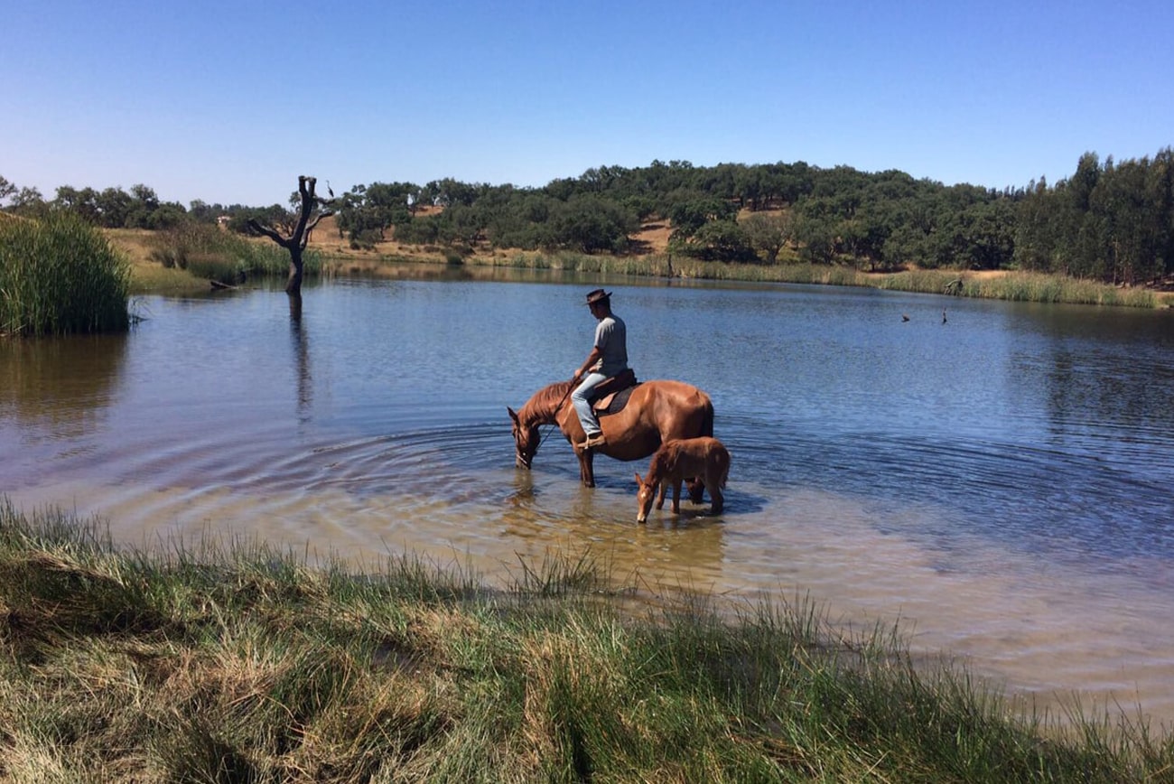 passeios-a-cavalo-min