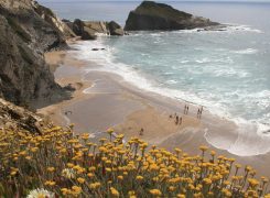 O que Esconde o Parque Natural da Costa Vicentina