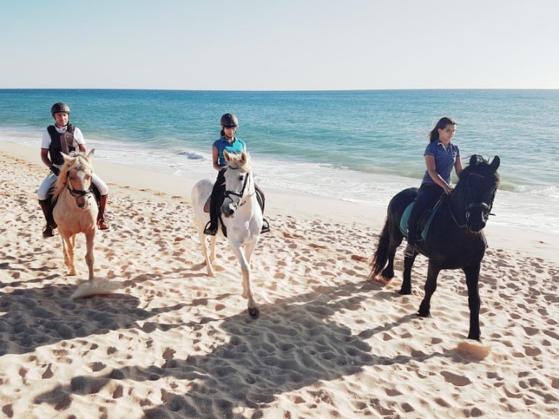 20181027_192229_resized_1-1