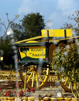 Carroça Herdade do Amarelo