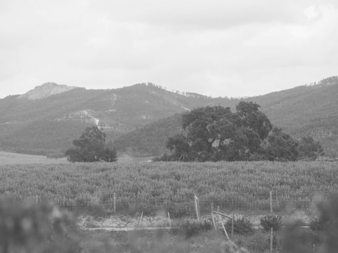El Entorno