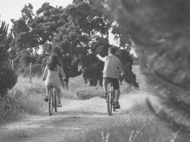 Paseos de Bicicleta