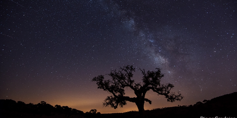 observar-estrelas-no-alentejo